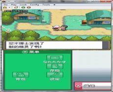 口袋妖怪心金493金手指