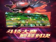 剑盾属性空性格配招