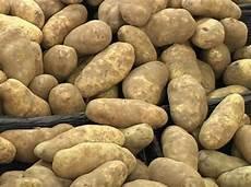 potato苹果版下载链接
